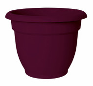 10"fruit Ariana Planter