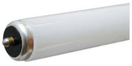 Ge 96" 60w 4100k Tube