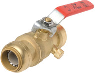 3/4" Ball Valve & Drain