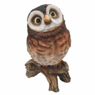 Curious Owl Statue