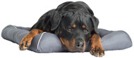 :g Cool Gel Pet Bed