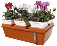 Emilys Gdn Hydro System