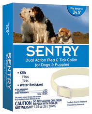 Dog Flea/tick Collar