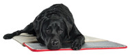Self Warm Pet Pad