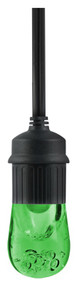 6pk Grn Cafe Lgt Bulb