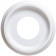 10" Wht Ceil Medallion