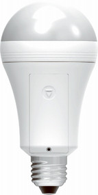 Everbright A19 Led Bulb