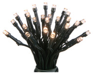 Fs 100ct Sol Light Set