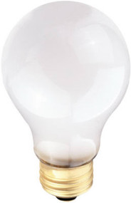Wp 100w Fros Rough Bulb