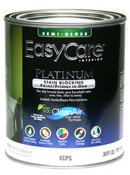 Ecp Qt Past Sg Paint