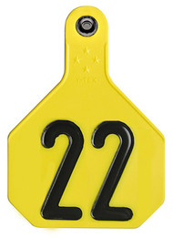 25pk Lg Yel Number Tag