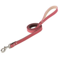 3/4x4 Deck Dog Leash