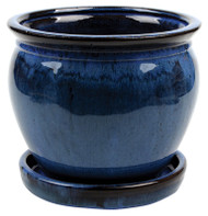 6" Blu Wisteria Planter