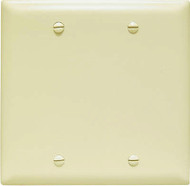 Ivy 2g Blnk Nyl Plate