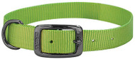 3/4x15lime Graph Collar