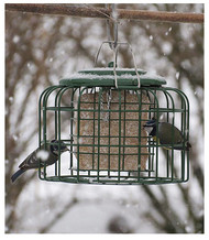 Oval Suet Bird Feeder