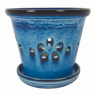 5.5" Daisy Orchid Pot