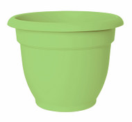 10"honey Ariana Planter