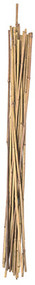 6pk 6' Bamboo Stake