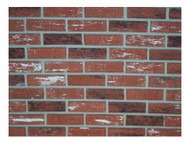 Ctn20 Used Brick Facing