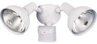 Wht Motion Secur Light