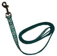 1" Teal Reflect Leash