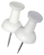 16pk Wht Push Pin