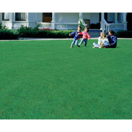 Wonderlawn Quick Lawn 3 Lb. 900 Sq. Ft. Coverage Annual & Perennial Ryegrass Grass Seed