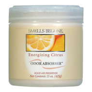 Smells Begone 15 Oz. Energizing Citrus Solid Air Freshener