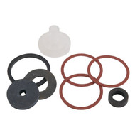 Champion 1 In. Valve Repair Kit (8-Piece)