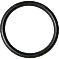 Danco #62 15/16 In. x 1-1/8 In. Buna-N O-Ring
