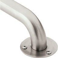 Moen Home Care 42 In. Exposed Screw Grab Bar  Stainless Steel