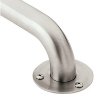 Moen Home Care 24 In. Exposed Screw Grab Bar  Stainless Steel