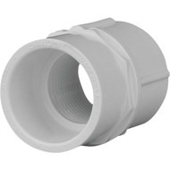 Charlotte Pipe Female Schedule 40 3/4 in. PVC Adapter