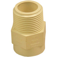 Charlotte Pipe 3/4 In. Male Thread to CPVC Adapter (10-Pack)