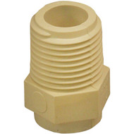 Charlotte Pipe 1/2 In. Male Thread to CPVC Adapter (10-Pack)