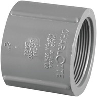 Charlotte Pipe 1-1/4 In. FIP x FIP PVC Coupling