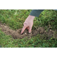 TOMCAT Mole Killer (10-Pack)