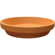 Ceramo 8 In. Terracotta Clay Standard Flower Pot Saucer