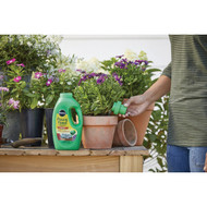 Miracle-Gro Pour & Feed 32 Oz. Liquid Plant Food