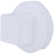 Charlotte Pipe 1-1/2 In. Schedule 40 DWV Cleanout PVC Plug