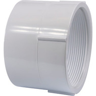Charlotte Pipe 1-1/2 In. Hub x 1-1/4 In. FPT Schedule 40 DWV PVC Adapter
