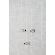 Home Impressions Chrome 2-Handle Bathtub Faucet