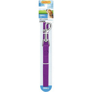 Westminster Pet Ruffin' it 4 Ft. Nylon Small Dog Leash
