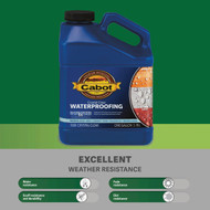 Cabot 1000 Clear Silicone Waterproofing Sealer  1 Gal.