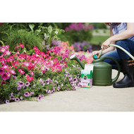 Miracle-Gro Bloom Booster 1 Lb. Water Soluble Flower Food