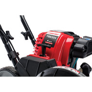 Troy-Bilt TBE304 9 In. 30cc 4-Cycle Gas Edger