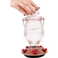 More Birds Jubilee 32 Oz. Glass Hummingbird Feeder