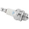 Image 8 Image 8
