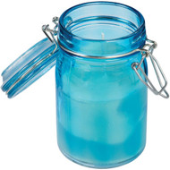 Sierra 5.6 Oz. 1-Wick Mason Glass Jar Citronella Candle